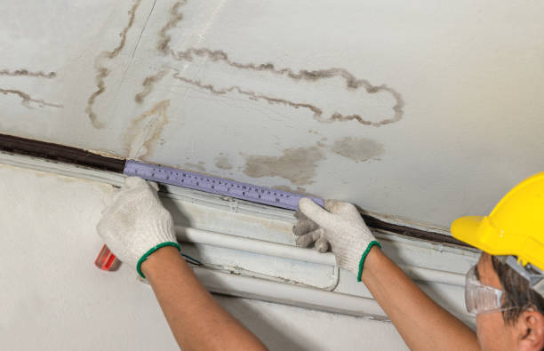 Reliable Water Damage Repair contractor in Prairie Hill, TX by Hirex Water Damage